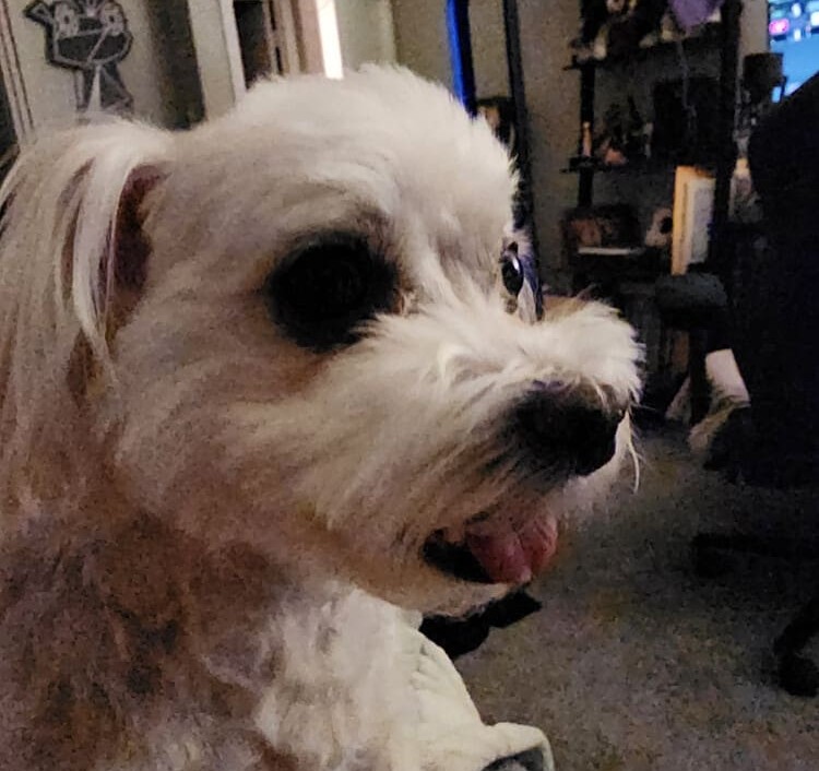 she is 81% love by volume